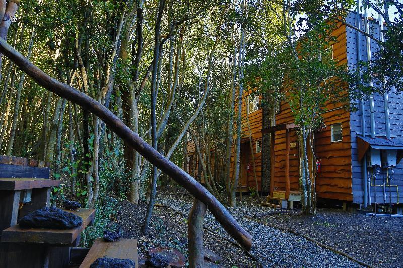 Отель Cabanas Ensenada Bosque Nativo Пуэрто-Варас Экстерьер фото