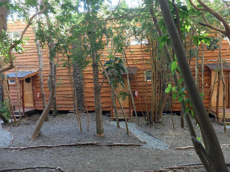 Отель Cabanas Ensenada Bosque Nativo Пуэрто-Варас Экстерьер фото