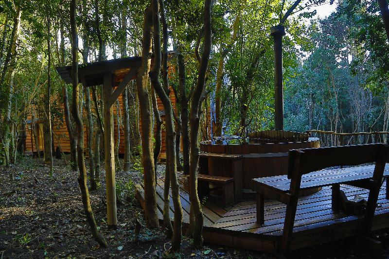 Отель Cabanas Ensenada Bosque Nativo Пуэрто-Варас Экстерьер фото