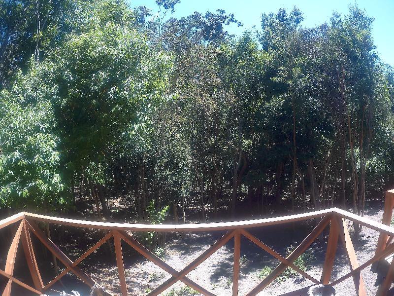 Отель Cabanas Ensenada Bosque Nativo Пуэрто-Варас Экстерьер фото