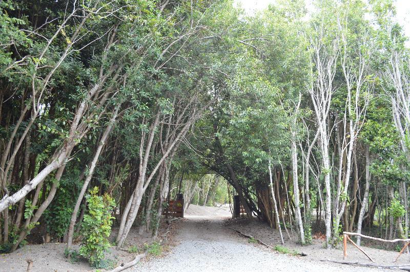 Отель Cabanas Ensenada Bosque Nativo Пуэрто-Варас Экстерьер фото